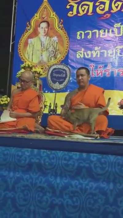 Play first, pray next.