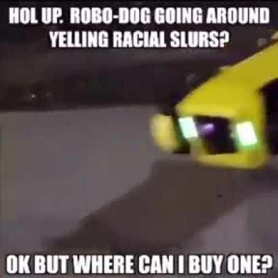 Boston Dynamic gone wrong