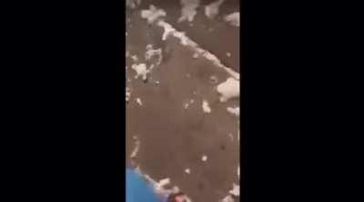 Woman Shot in O Block