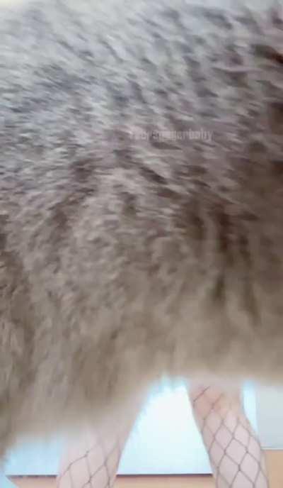 Little different than usual! Hope it makes you laugh!😆💕