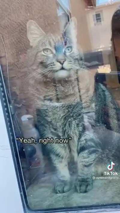 I want to go outside..