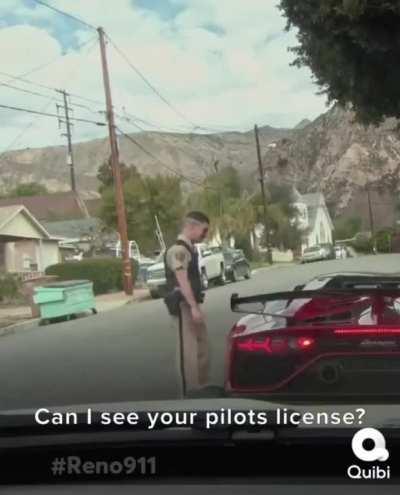 Can I see you pilots license