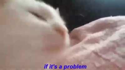 I know everyone's gonna post sappy shit today but you gotta remember the fun shit too. This is my favorite verse right now, and this is gonna be me all day today. Happy 22nd Juice.