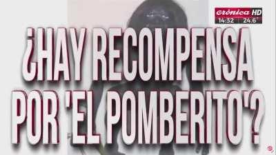 Dame el comentario mas racista que tengas... no, no tan racista