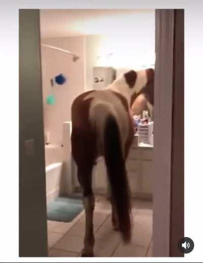 Don’t. Talk. Shit.