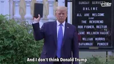 The Wolves Were Aware All Along. 🐺 🍊