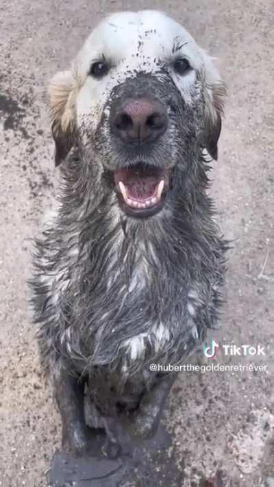 I swear. It was an accident