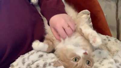 He’s gone belly up!