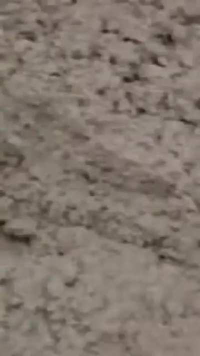 School Bus Driver won’t be inconvenienced by road work…