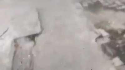 Sad tohit sharma noise