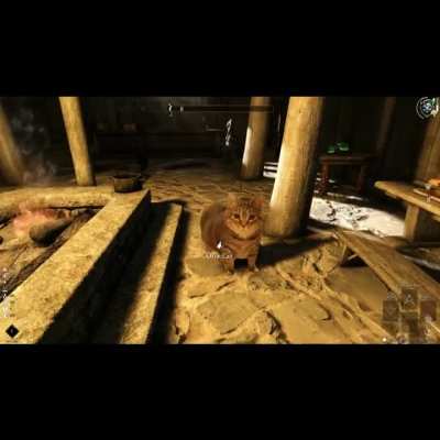 I can finally play skyrim.