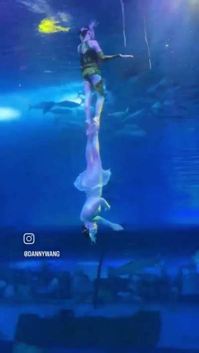 Guangzhou Zhengjia Polar Ocean World Performance: 