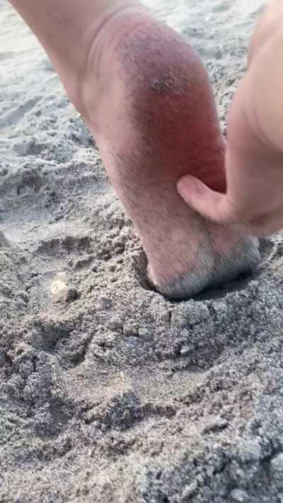 Teasing gf at beach part 2