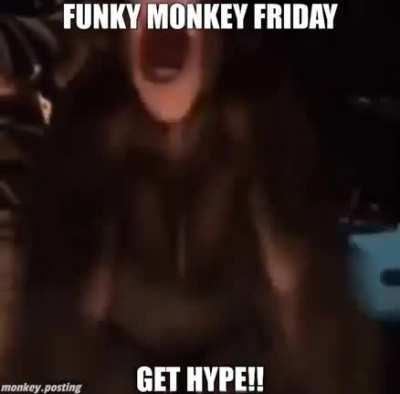 Monkey friday EZ