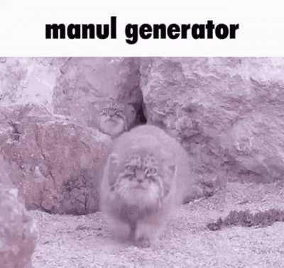 manul generator
