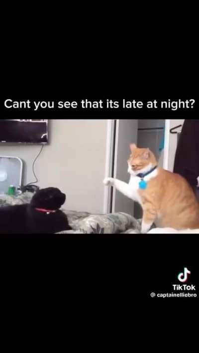 latest song of the day (i am not making this a series lol)