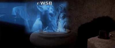 How Melvin Capital and Citadel's bailout meeting went, probably