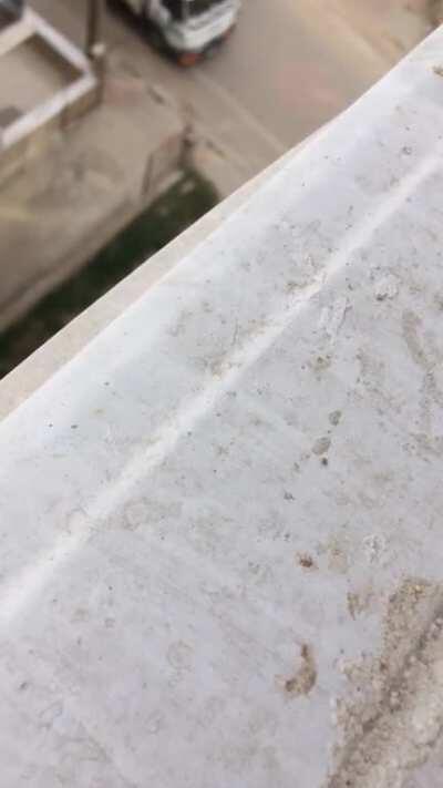 Bir sik anladıysam orosbu olayım, bu amın evladı ne diyor anlayan var mı?