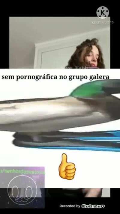 Aqui não