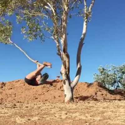 WCGW doing acrobat in tree branch