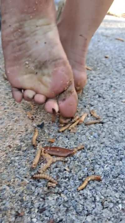 I have plenty more as well as a 4k, 11 minute video for sale! (No trade)