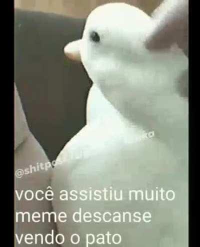 Sei q tem marca d,agua mais não consigui aguentar bom mais os creditos de quem criou o meme ta ai boa noite turma❤