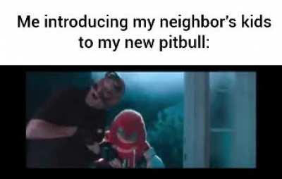Pitbull moment