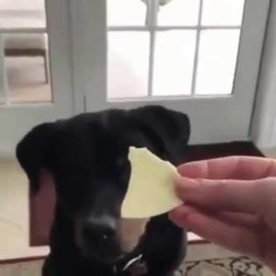 I know what you are trying to do and I'm not falling for it