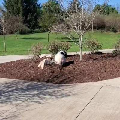 Don't worry. I'll fix it.