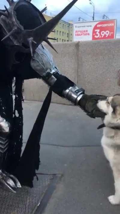 Witch king tames the warg. Cosplay by me.