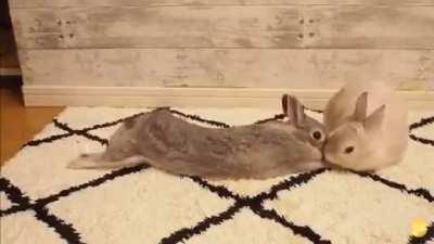 Stretches and kisses!