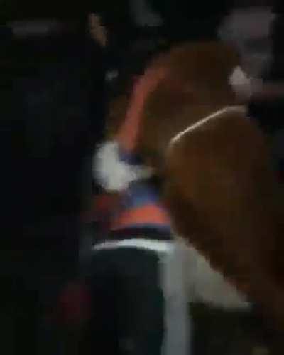 homem-aranha vs jesus cristo