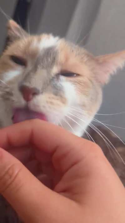 She's in kisses mode 😻