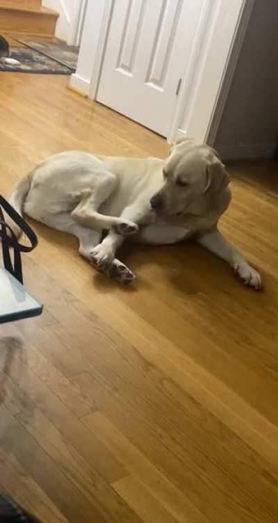 Sir, I think this one might be malfunctioning.