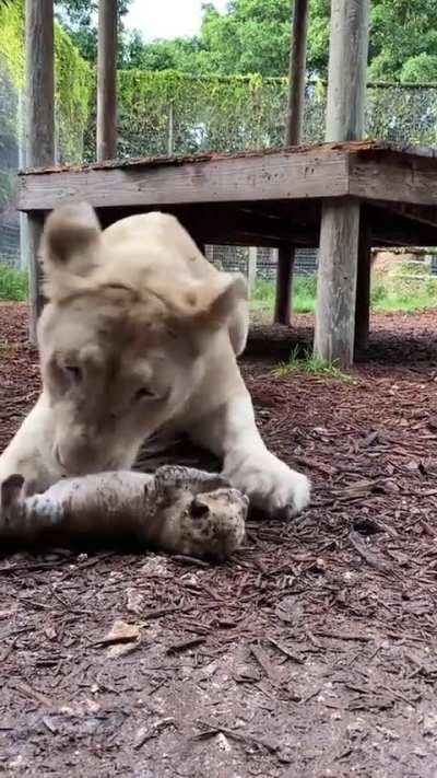 Mom gives her a bath