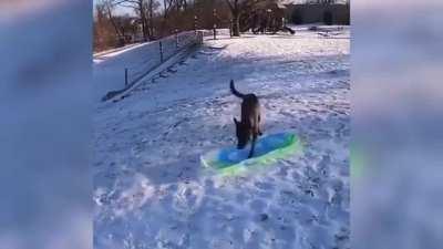 No human? Not to worry i can manage myself...