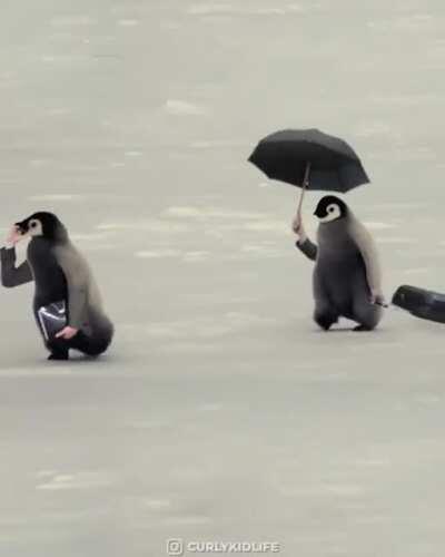 If birds had arms...