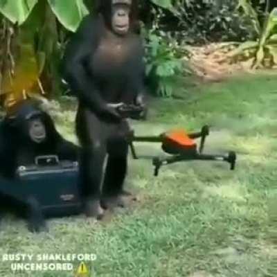 la diferencia entre un mexicano y un peruano