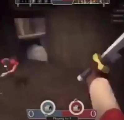 Several new life forms discovered in this