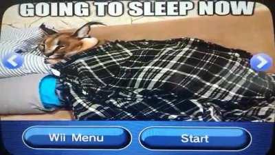 I made a Big Floppa Nintendo Wii Channel