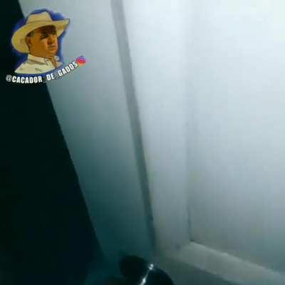 Amigo, estou aqui...