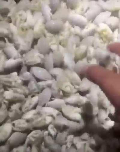 Shipping box full of soft, fluffy packing peanuts
