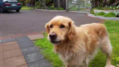 Blake’s 11th birthday. Man I love him.