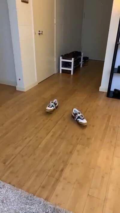 [A]nimators working together during quarantine