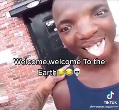 What in the fuck is you…