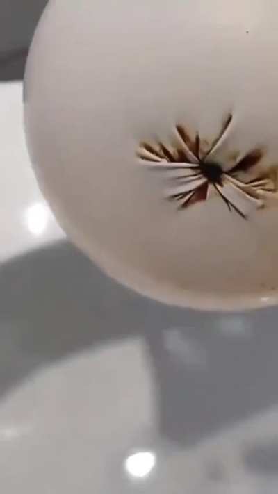 For those who do not like using water to wash after pooping 😏😏