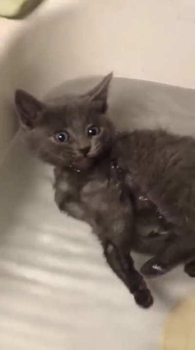 Bathwater tastes good I guess