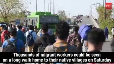 Coronavirus forcing out much dangerous Bimaru Virus