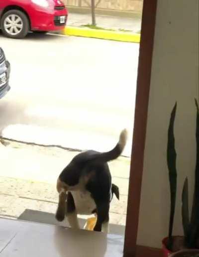 Ohh, self service ,,yoink,,.