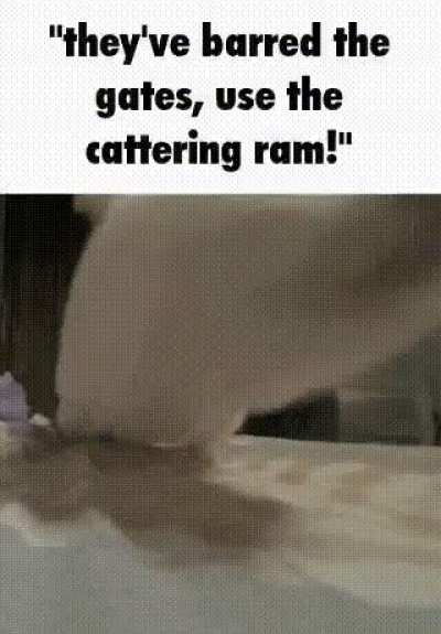 wunkuringram (sorry if this has been posted)